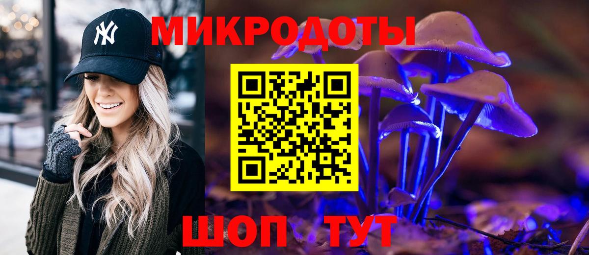 Псилоцибиновые грибы Psilocybe Калининград