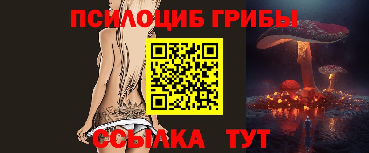 Калининград  Галлюциногенные грибы прущие грибы  наркотики  Вход с VPN 